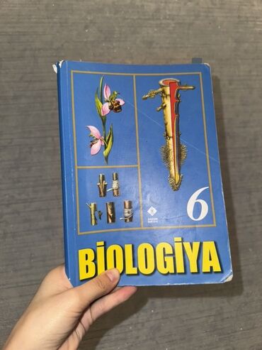 informatika 1 ci sinif pdf: 6-cı sinif üçün nəzərdə tutulmuş biologiya dərsliyi. Kitab biologiya