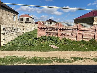 bine kendi: Köyne bine sederek bazarin beton yoldan 300 metir Binenin girisinde — 5