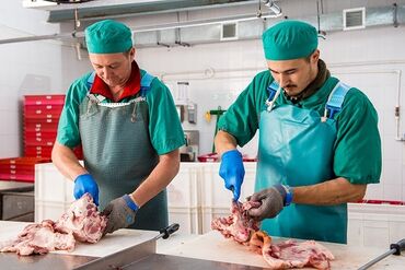 производство перчаток: Требуется сотрудник для работы в мясном цеху. Обязанности
