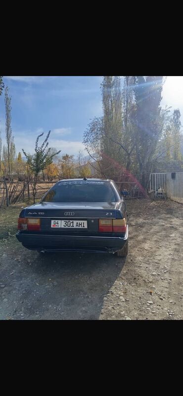 монитор виндом: Audi 100: 1990 г., 2.3 л, Механика, Бензин, Седан