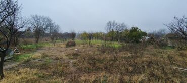 Torpaq sahələrinin satışı: 30 sot, Kənd təsərrüfatı, Mülkiyyətçi, Kupça (Çıxarış) — 3