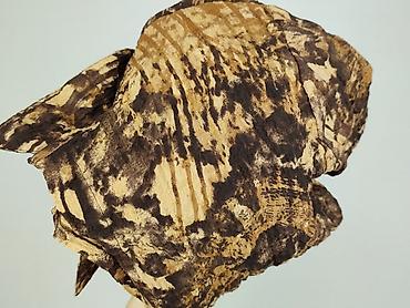 diego m: Koszula damska, rozmiar L — 6