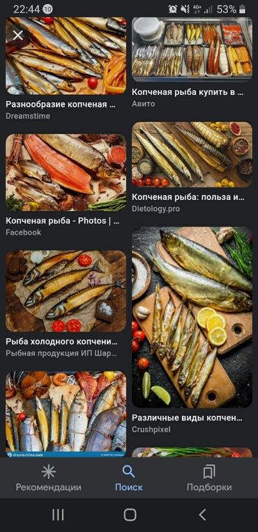 Животные: Здравствуйте продаю рыба копчёный сёмга если вида копчёная рыба икра