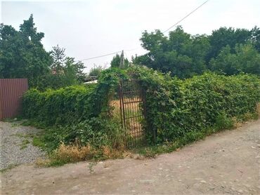 сколько стоит одна сотка земли в кыргызстане: 6 соток, Бизнес үчүн, Кызыл китеп, Техпаспорт