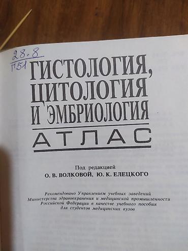 Медицина: Гистология, цитология и эмбриология. Атлас Учебный атлас под — 2