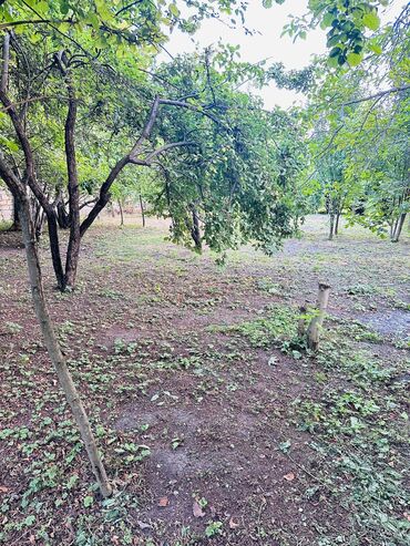 Torpaq sahələrinin satışı: 6 sot, Tikinti, Mülkiyyətçi, Kupça (Çıxarış) — 3