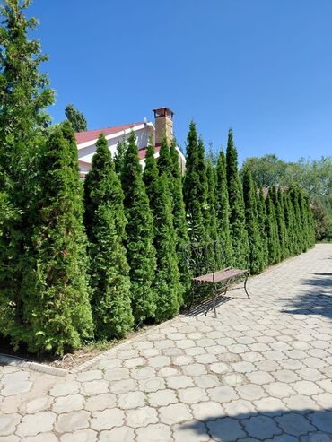 Продажа домов: Коттедж, 122 м², 5 комнат, Агентство недвижимости, Евроремонт — 11