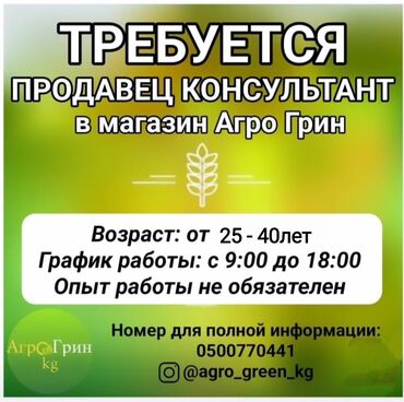 ищу работу по дому: Продавец-консультант. Баткенский рынок / базар