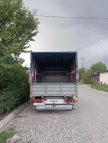 коротыш спринтер: Mercedes-Benz Спринтер: 2007 г., 2.2 л, Робот, Дизель — 3