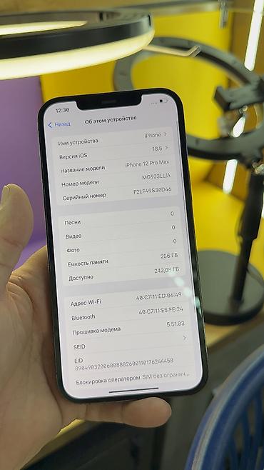 Apple iPhone: IPhone 12 Pro Max, Б/у, 256 ГБ, 82 % at lalafo.kg — 15 Apple iPhone: IPhone 12 Pro Max, Б/у, 256 ГБ, 82 % — 15