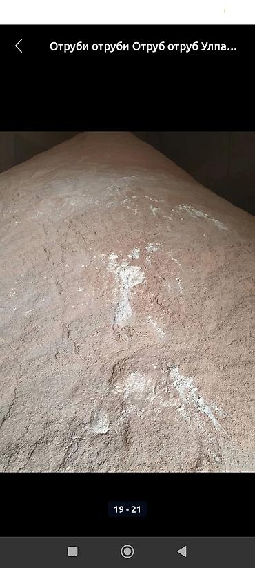 Корма для с/х животных: Улпак отруби кебек оптом - Натуральные отруби крупного и среднего — 3