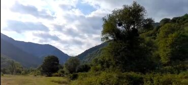 Torpaq sahələrinin satışı: 8 sot, Tikinti, Barter mümkündür, Kupça (Çıxarış) -da lalafo.az — 3 Torpaq sahələrinin satışı: 8 sot, Tikinti, Barter mümkündür, Kupça (Çıxarış) — 3