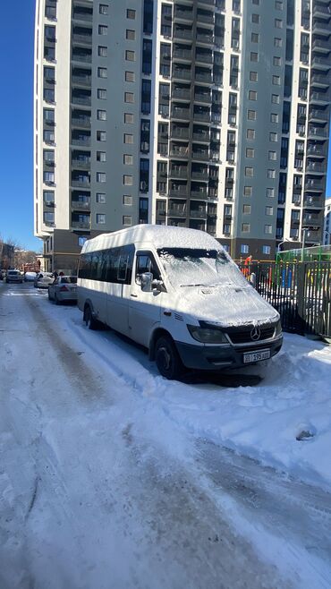 Mercedes-Benz: Mercedes-Benz Sprinter: 2007 г., 2.2 л, Механика, Дизель, Бус