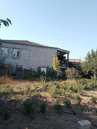 mingecevirde torpaq satisi: 10 sot, Tikinti, Mülkiyyətçi, Kupça (Çıxarış) — 6