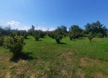 12 соток, Для строительства, Собственник, Купчая
