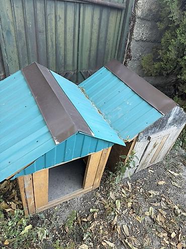 Айыл-чарба жаныбарлары: Две уличные будки для собак. - Материал: стены из деревянных досок — 3