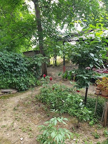 Квартиры: 3 комнаты, 90 м², 1 этаж, Дизайнерский ремонт — 8