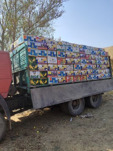 күзгү ош: Алмалар Дүңүнөн