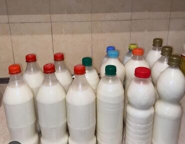 Молочные продукты и яйца: Алайку таза кымыз 1л доставка бар кобуроок алатурган болсонуздар