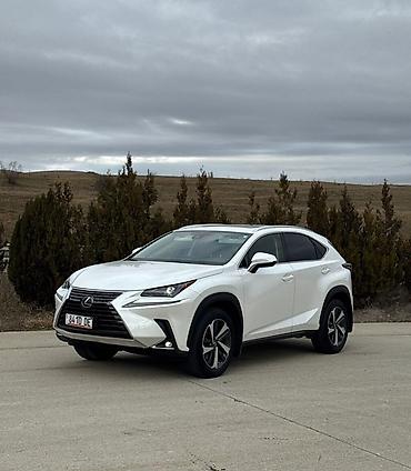 Lexus: Lexus NX: 2021 г., 2 л, Автомат, Бензин, Кроссовер — 1