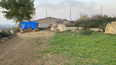 Torpaq sahələrinin satışı: Kənd təsərrüfatı, Mülkiyyətçi — 7