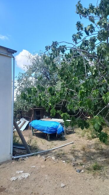 Bağ evlərinin satışı: Novxanı, 130 kv. m, 3 otaqlı, Hovuzsuz, İnternet, Telefon, İşıq — 6