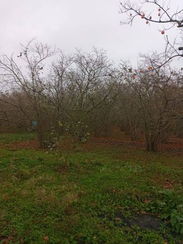 Həyət evləri və villaların satışı: 4 otaqlı, 110 kv. m, Kredit yoxdur, Təmirsiz — 11