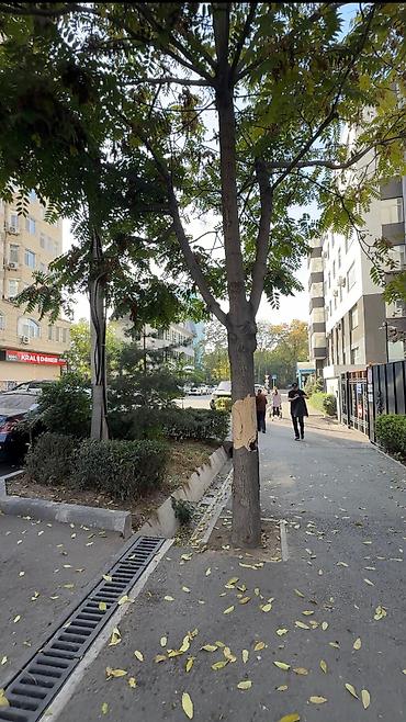 400: 🏢 Коммерческое помещение в аренду 📍 БЦ «Лотус», район Филармонии, за — 10