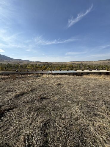 Сельхоз предприятия: Продаю Кошара, 130 соток, Действующий, Частично с оборудованием, Электричество, Канализация, Отопление — 9