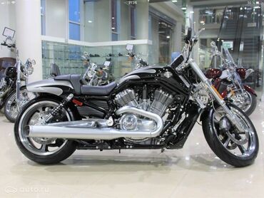 Другая мототехника: Мотоцикл: Harley-Davidson V-Rod Muscle, идеальное состояние, куплен в