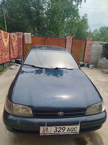решетка тойота камри: Toyota Carina E: 1995 г., 1.6 л, Механика, Бензин, Седан — 3