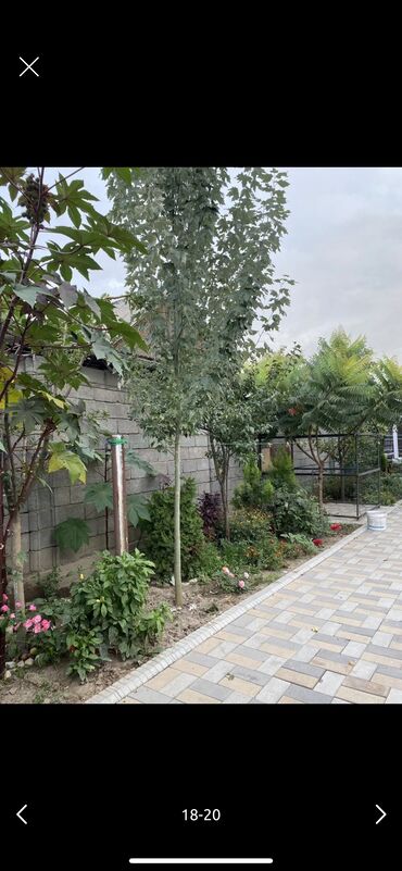 Долгосрочная аренда домов: 300 м², 6 комнат — 2