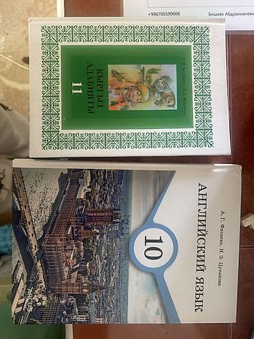 Книги 10-11 класс
Английский 250
Адабият 150