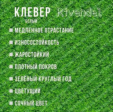Газон: Семена европейского газона DLF (Дания) по оптовым ценам! ✅В наличии — 12