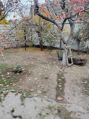 Otaqların satışı: Продаеться дом от Хозяина в поселки Расулзаде(Кирова). Улица 8 Марта — 10