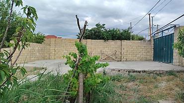 kürdexanı kiraye evler: 4 sot, Tikinti, Barter mümkündür — 2