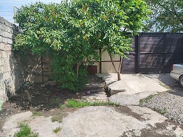 Продажа коттеджей и домов: Продается дом 4 комнаты. Дом имеет просторную планировку, включающую — 2