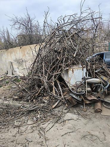 Дрова: Дрова Орех, Самовывоз — 6