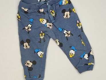 legginsy woskowane gatta: Legginsy, Fox&Bunny, 9-12 miesięcy, stan - Bardzo dobry