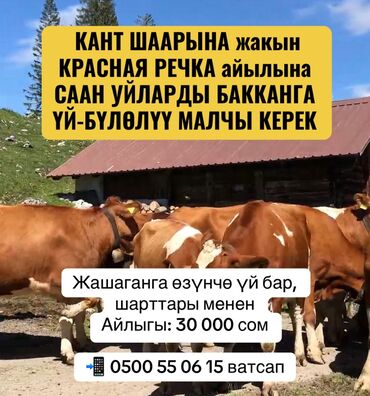 электрик на час: Талап кылынат Малчы, Төлөм Ай сайын