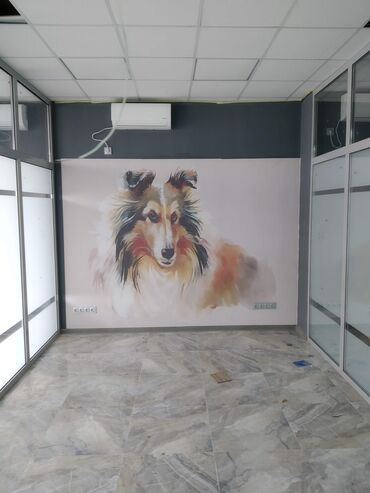 Перегородки на заказ: На заказ Каркасная перегородка, Для офиса, Бронированное стекло, Монтаж, Демонтаж, Бесплатный замер at lalafo.kg — 9 Перегородки на заказ: На заказ Каркасная перегородка, Для офиса, Бронированное стекло, Монтаж, Демонтаж, Бесплатный замер — 9