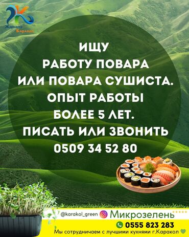 работа без опыта бишкек: Ищу работу в Караколе📍 поваром или поваром сушистом. Опыт работы более