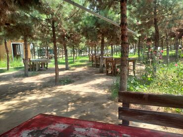 Tikiş: Ofisiant tələb olunur, Kafe, Gündəlik ödəniş, İstənilən yaş, Təcrübəsiz