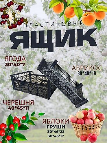 Ящики: Пластиковый Ящик, Новый — 12