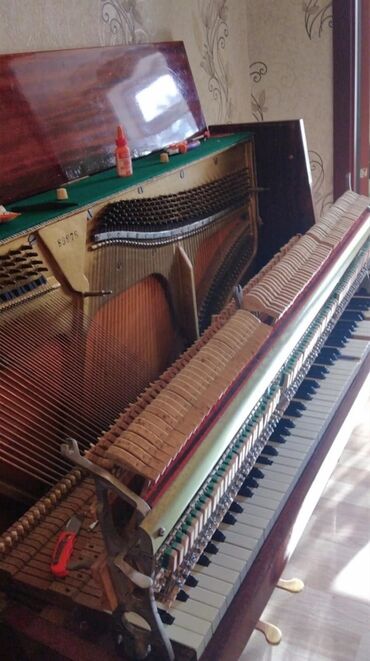 Başqa xidmətlər: Pianolarin koklenmesi temiri — 8