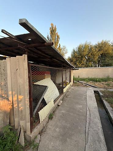 Долгосрочная аренда домов: 154 м², 5 комнат — 27