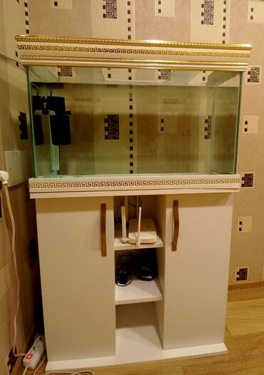 Balıqlar: Akvarium-şkaf, Balıqlarla birlikdə, 120 l, Pulsuz çatdırılma