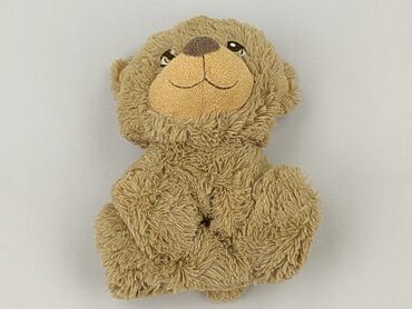 Mascot Teddy bear, condition - Very good