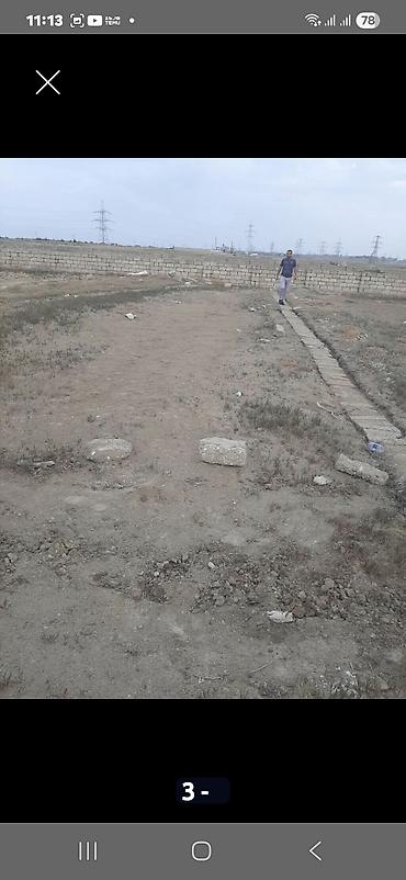 Tikinti