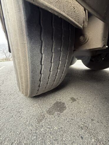 Тягачи: Тягач, DAF, 2019 г., Тентованный — 17